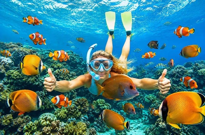 Compare Top Blue Lagoon Snorkeling Tours