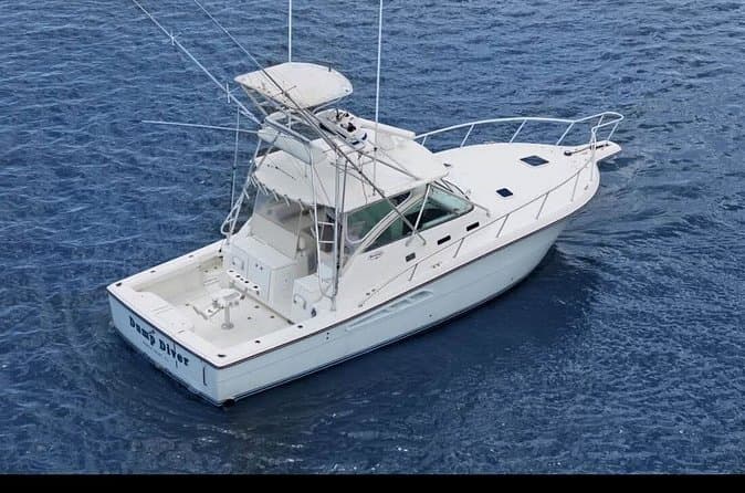 Best Big Game Fishing Charters Puerto Plata