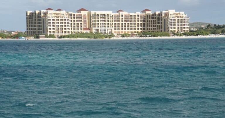 Pet-Friendly Hotels in Aruba