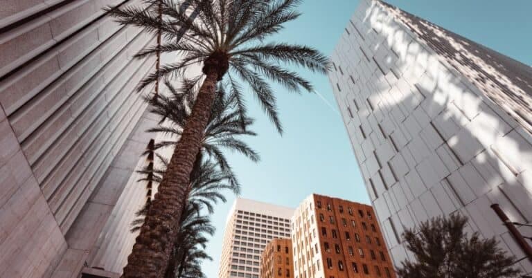 Top 9 Things to Do in Downtown Phoenix