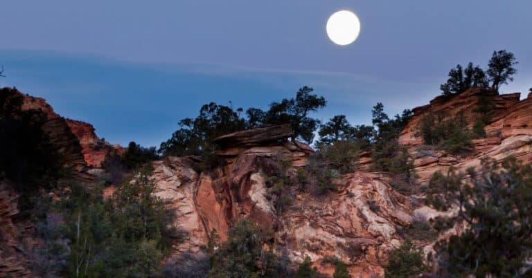 8 Best Things to Do at Night in Zion National Park