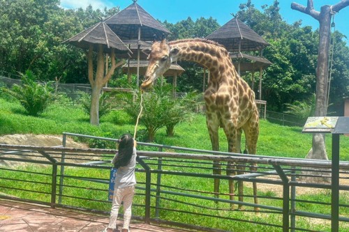 Songkhla Zoo