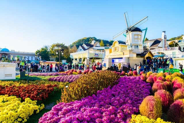 Everland Theme Park Flowers