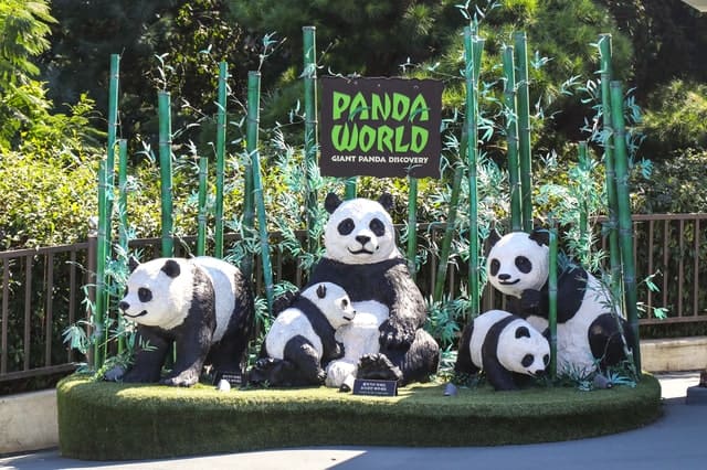 Everland Theme Park Zoo_Panda