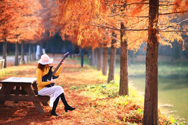 autumn-nami-island