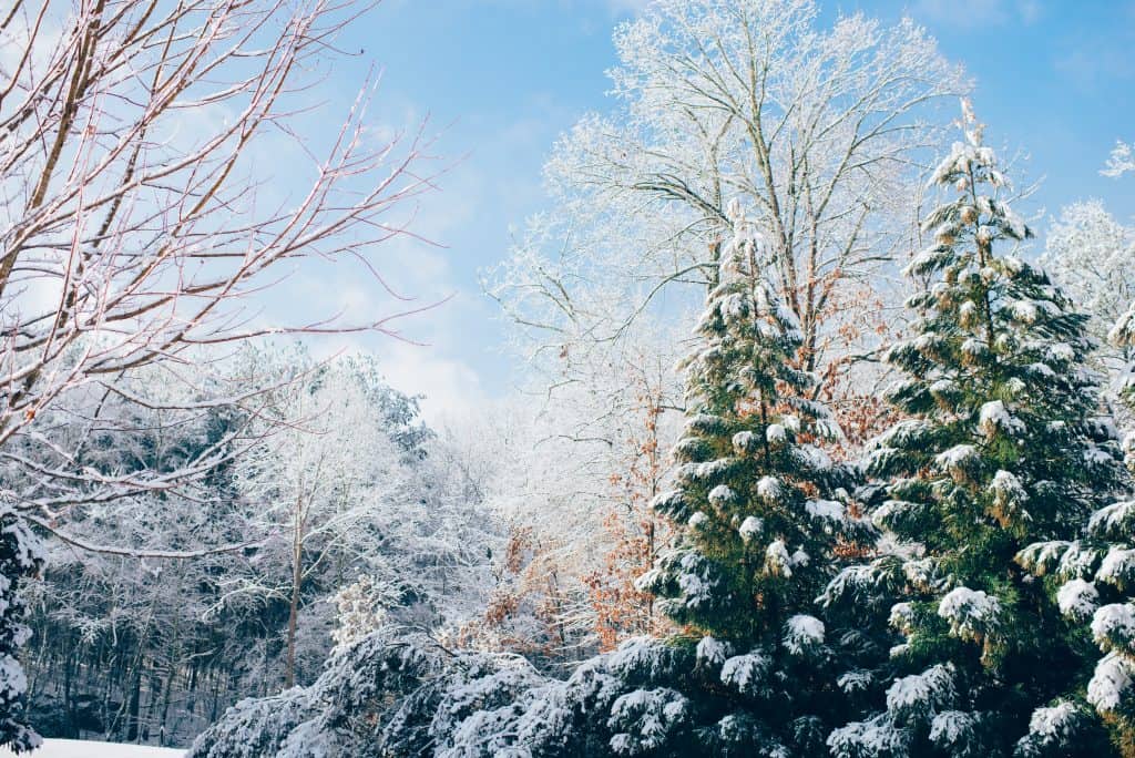 Winter weather in Seoul