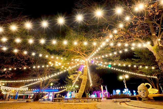 Pocheon Herb Island Light Festival