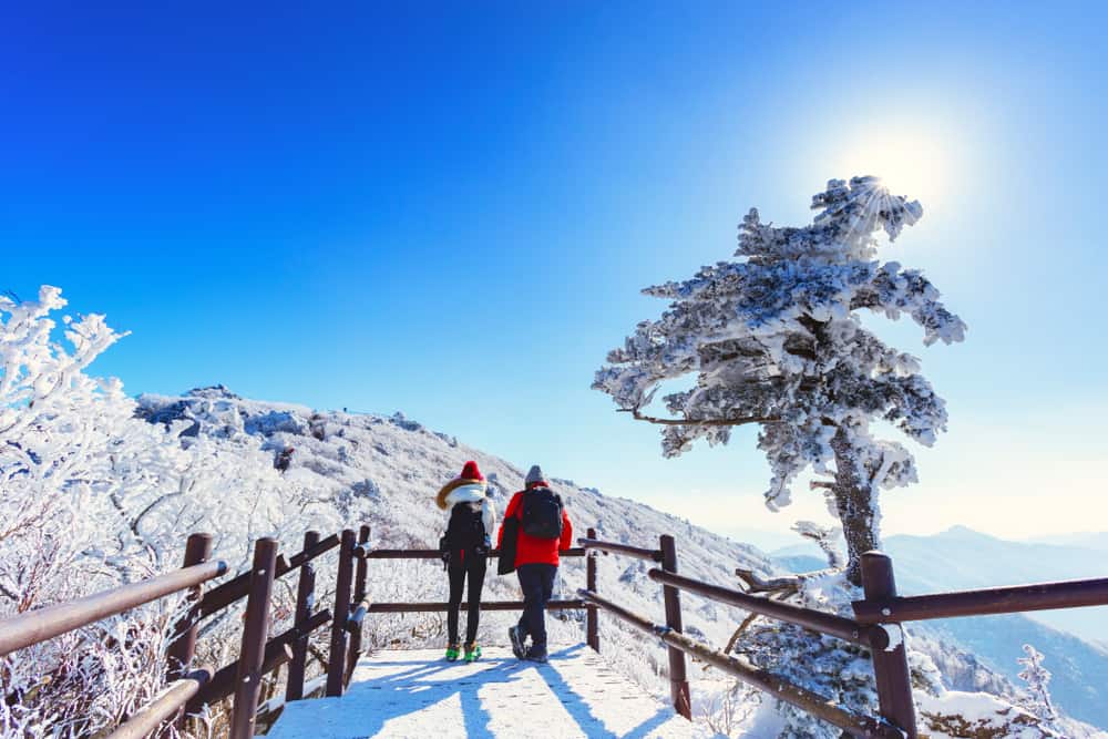 Best Ski Resort in Korea : Enjoy Winter Sports - TourTeller Blog