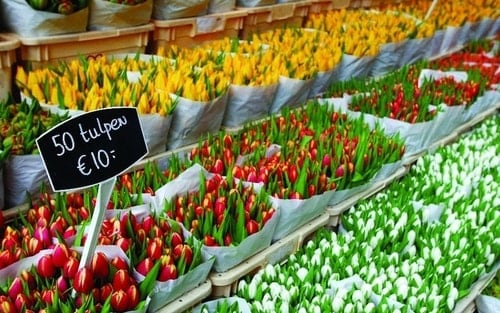 Amsterdam, Flower market