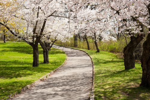 High Park