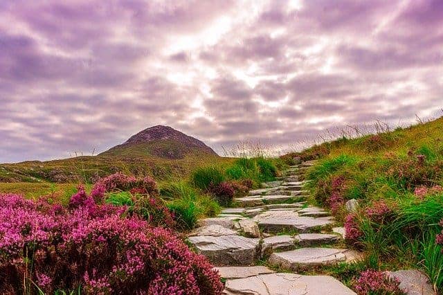 Ireland Connemara National Park