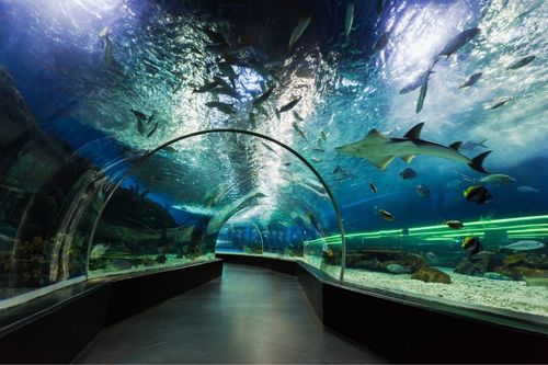 Manila Ocean Park Underwater Tunnel