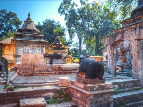 Pashupatinath temple - Things to do in Kathmandu