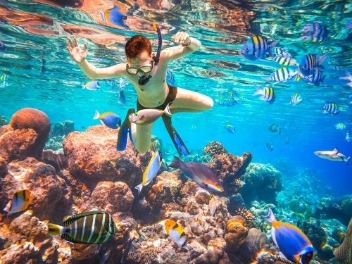 Snorkeling & diving in Bali