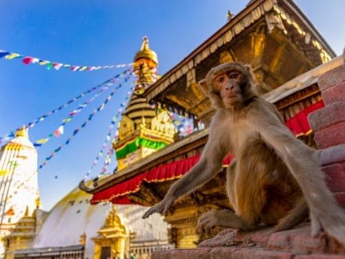 Swayambhunath Stupa - Monkey Temple in Kathmandu