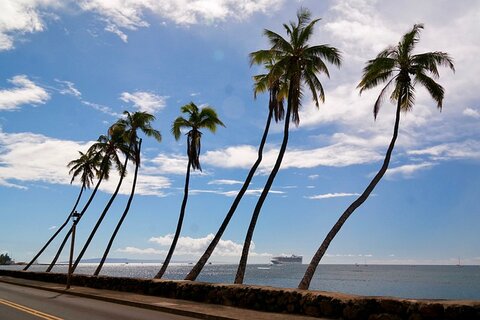 dinner cruise hawaii
