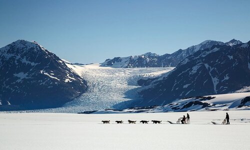 dogsled tour