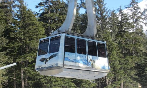 alyeska aerial tram