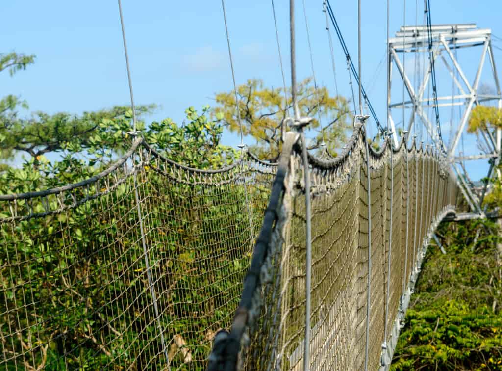 Longest canopy walk in Africa at the Lekki Conservation Centre