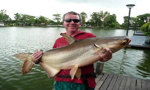 A big catfish caught in a lake in Bangkok