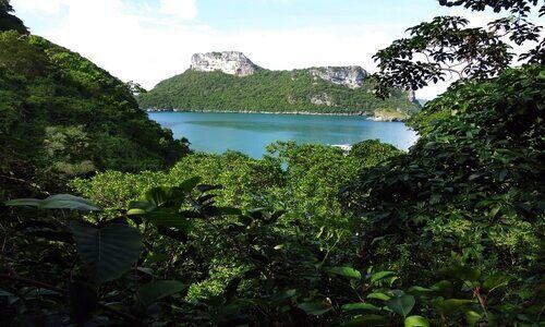 A view of the jungle and the Lagoon at Angthong Marine National Park.
