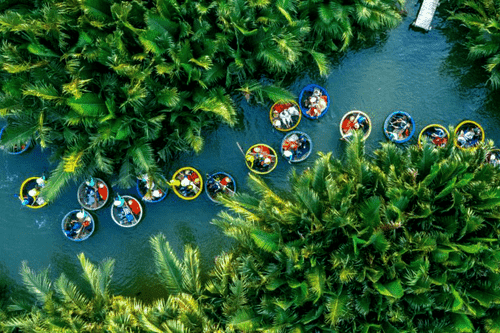 The basket boats weave their way through the coconut forest
