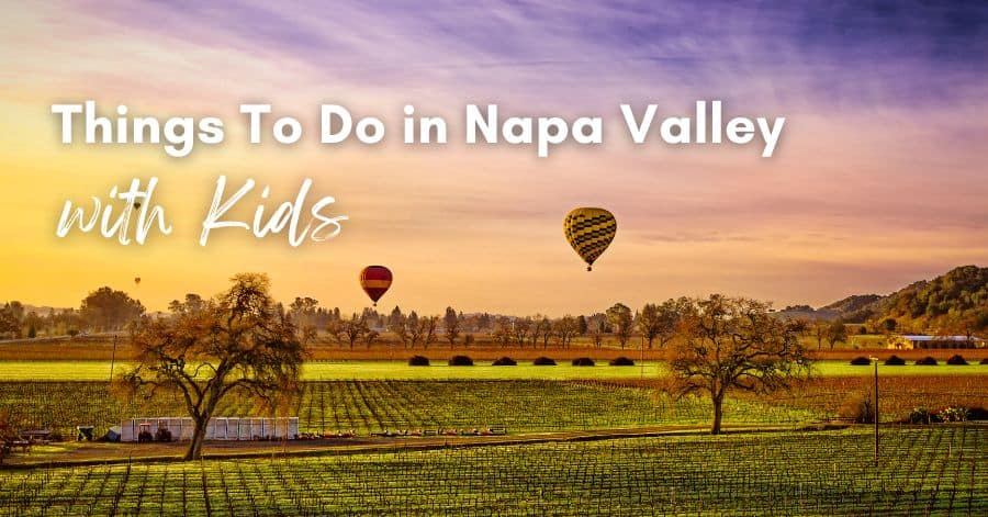 Things To Do in Napa Valley with Kids