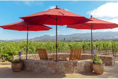 Biale Vineyards Wineries in Napa Valley