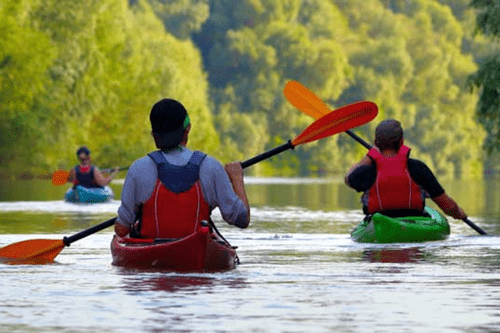 kayaking on the Napa River
