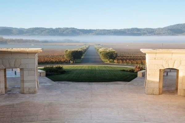 The gorgeous vineyards of Opus One winery. 