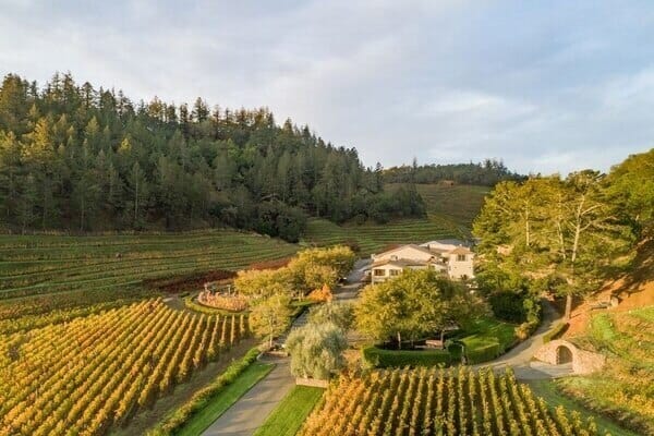 The vineyards of Pine Ridge. 