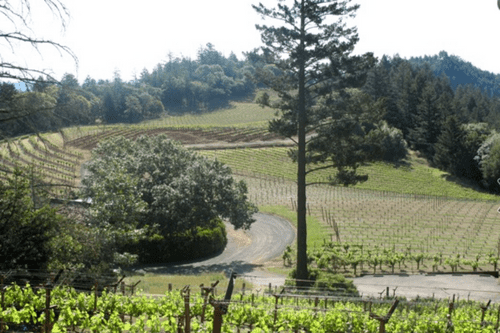Smith-Madrone Winery