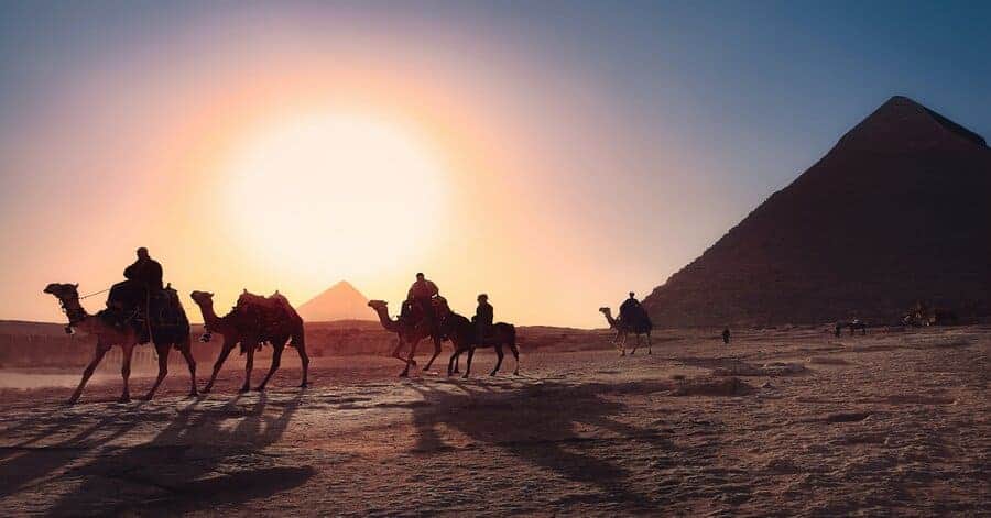 The pyramids in Egypt during sunset with camels in front.