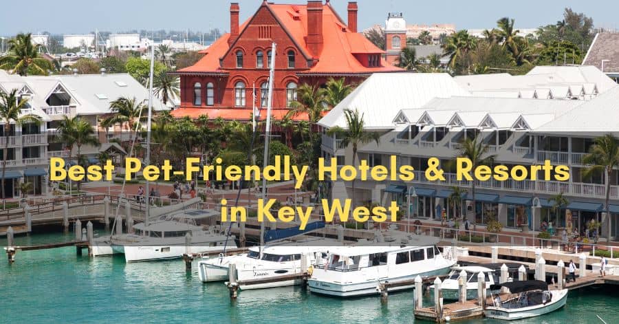 Best Pet-friendly Hotels and Resorts in Key West