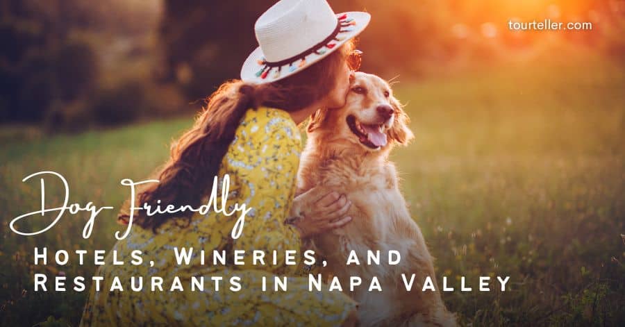 Dog-Friendly Hotels Wineries and Restaurants in Napa Valley