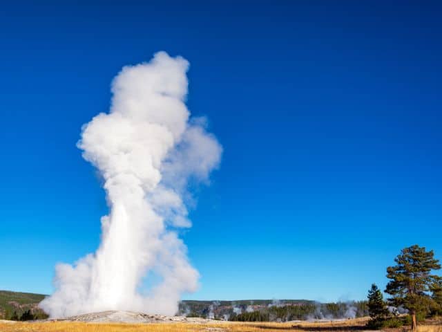 Old Faithful in Yellowstone