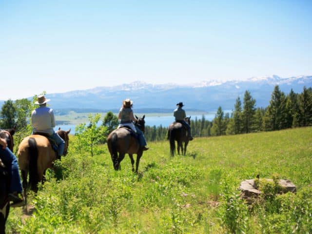 Stunning views while horseback riding