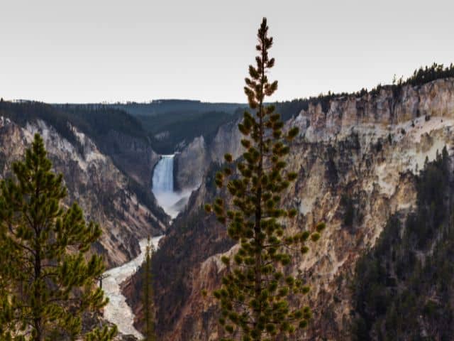 Incredible views of Artist Point in Yellowstone