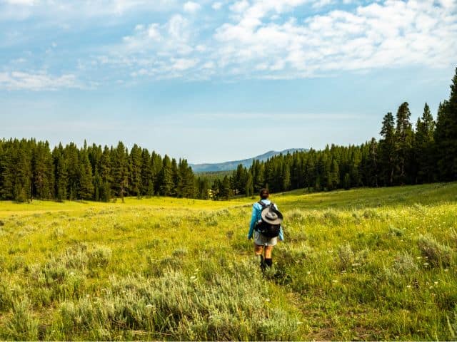 Hiking in the woods of Yellowstone