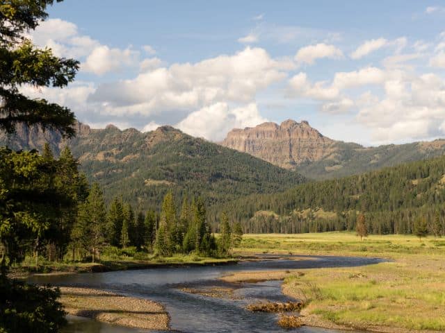 Breathtaking views of Yellowstone's landscape