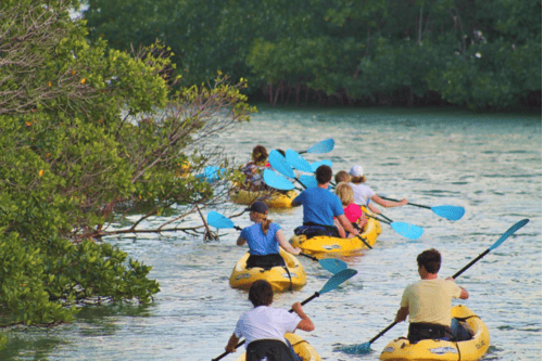 Key West Eco Tour