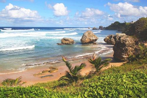 Things-To-Do-in-Barbados-44