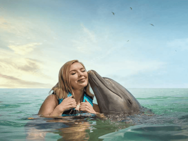 Swim with Dolphin in Dolphin Cove Ocho Rios