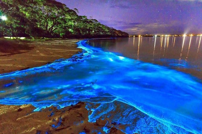 Jamaica Luminous Lagoon