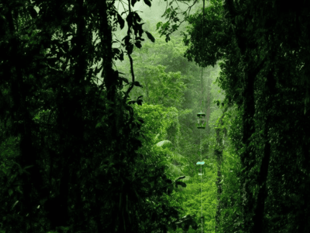 Goingg through the lush landscape at Mystic Mountain 