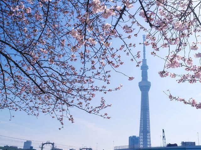 The stunning heights of Tokyo Skytree