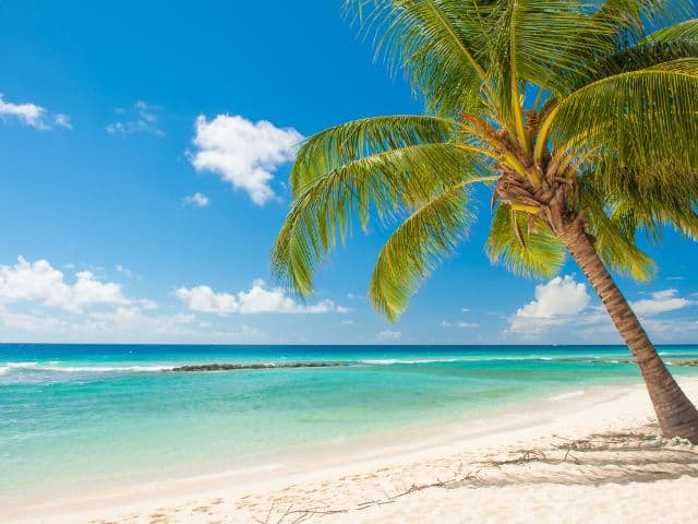 Beautiful beaches in Barbados