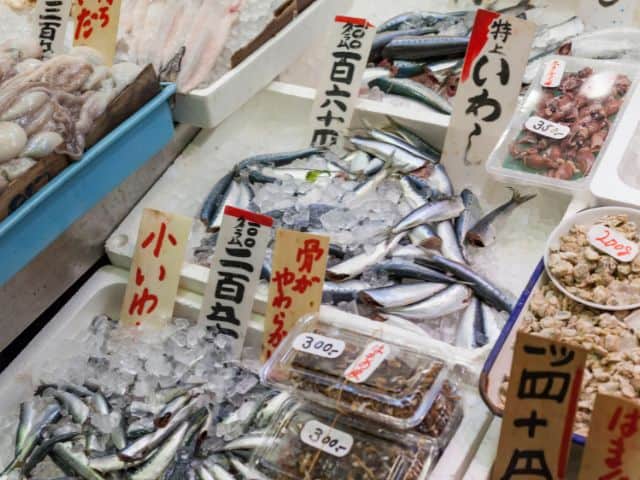 Fish for sale at Tsukiji Fish Market