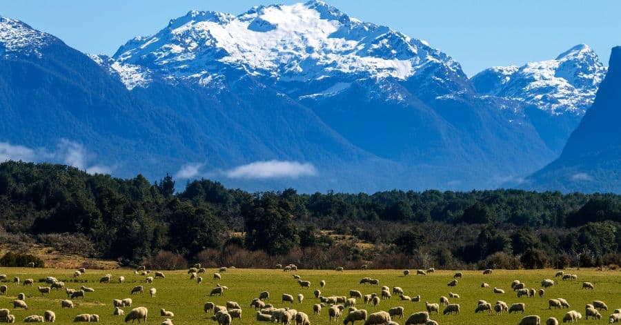 A stunning view of New Zealand's South Island