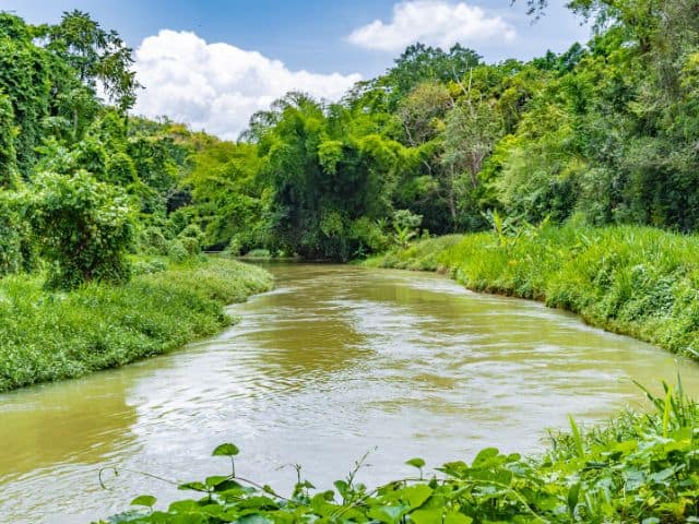 The Martha Brae River